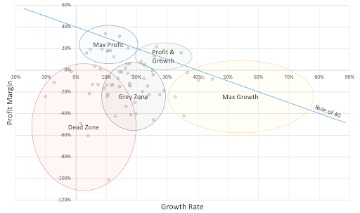 A scatter graph showing where top companies fall on the Growth Rate to Profit Margin scale.