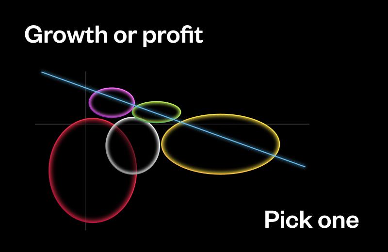 Blog_Growth vs Profit