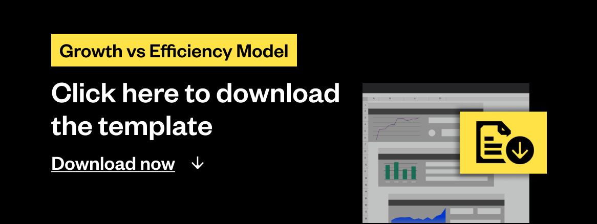 Click here to download the Growth vs Efficiency model