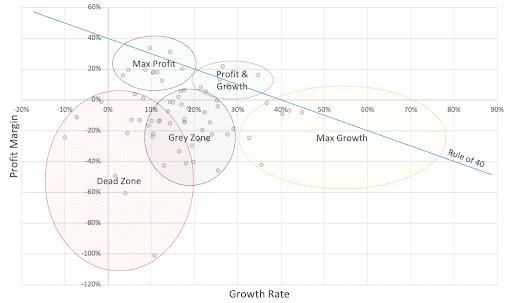 Blog_Growth vs Profit Graph