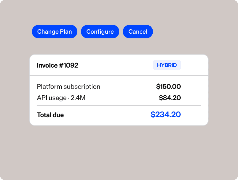 Invoice details showing platform subscription, API usage, and total due amount.