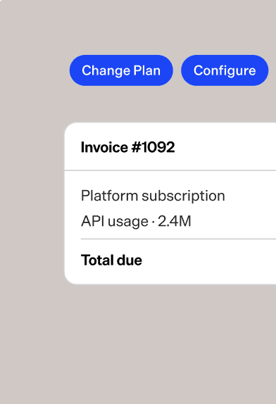 Invoice details showing platform subscription, API usage, and total due amount.
